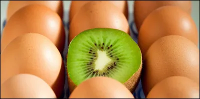 Parmi ces réponses qu'est-ce que le chat ne mangera pas en premier ni en deuxième ?