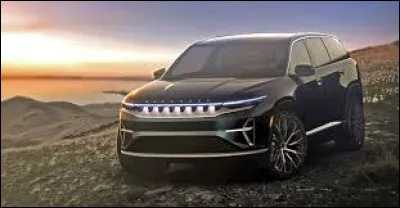 Celui-ci est un ou sera un ...