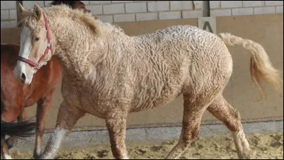 Saurez-vous trouver ? J'espère !