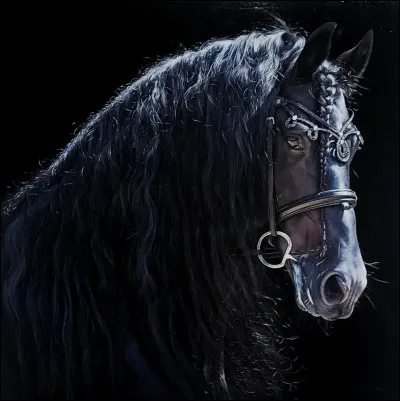 Facile, quelle est cette race ?