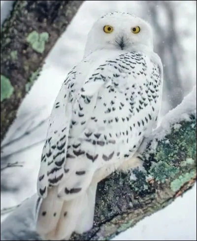 Et qui se trouve derrière celle-là ?