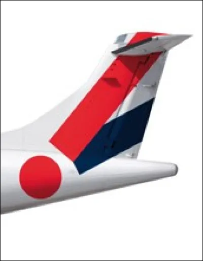 À qui appartient cet aileron ?