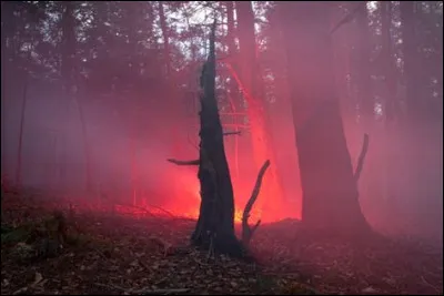 La nuit, une comète a atterri sur la Terre et une lumière rouge l'éclaire. Que décides-tu de faire ? 
Tu es accompagné d'un(e) ami(e).