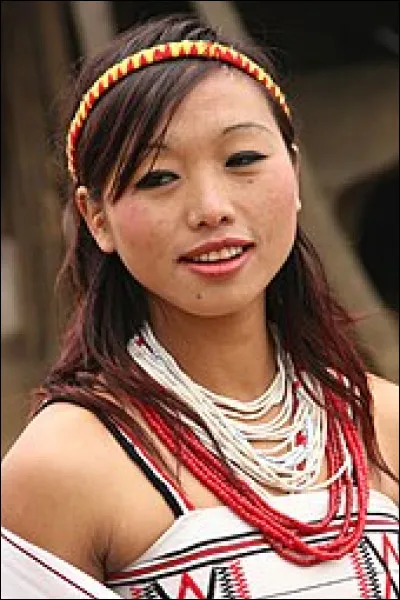 Où vivent les Nagas ?