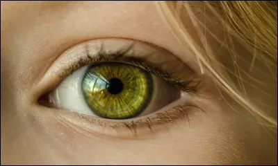 Quelle est la couleur de tes yeux ?