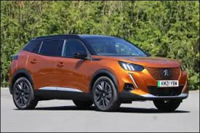 Voici la version électrique, avec également sa calandre couleur carrosserie, du ...