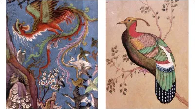 De combien doiseaux pèlerins « La Conférence des oiseaux » raconte-t-elle lhistoire ?