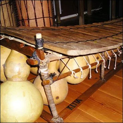 Comment sappelle cet instrument de percussion originaire du Mali dont joue Mory Kanté ?