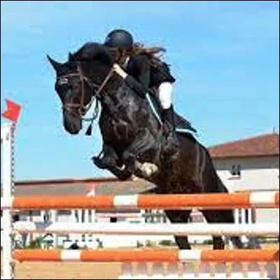 Quel cavalier français est le seul à avoir remporté deux titres olympiques en saut dobstacles individuel ?