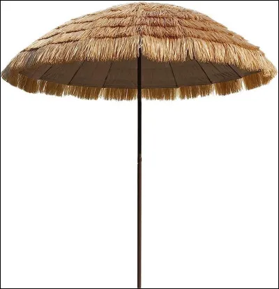 Quel est cet objet ?