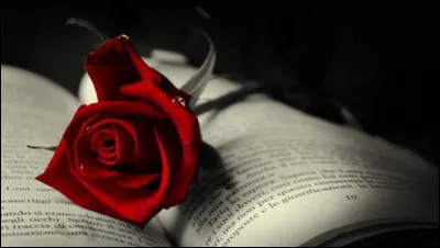 Quel est cet objet ?