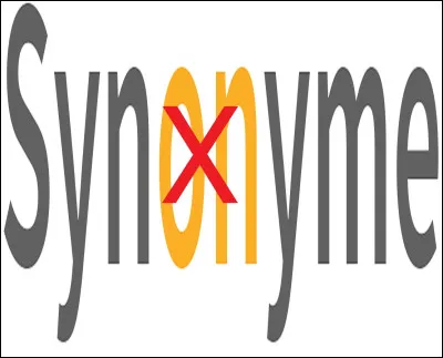 Quel mot n'est PAS synonyme du mot ''&eacute;chapp&eacute;e'' ?