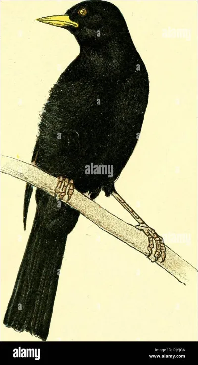 Qui était sa mère ?