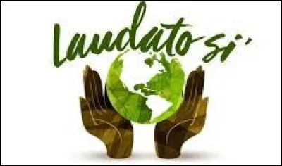 Quel pape met en doute le paradigme technocratique ?