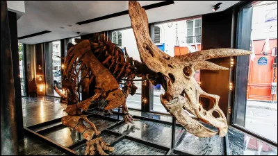 Combien de cornes le triceratops avait-il ?