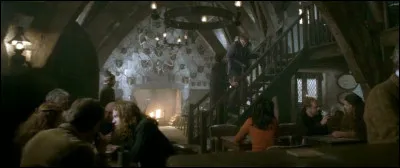 Direction "Les Trois Balais" après quelques emplettes chez Gaichiffon pour quelques accessoires pour le bal et quelques bonbons d'Honeydukes. Arrivées, toutes les tables sont prises, vous vous installez donc au bar en attendant. Que voudrais-tu boire ?