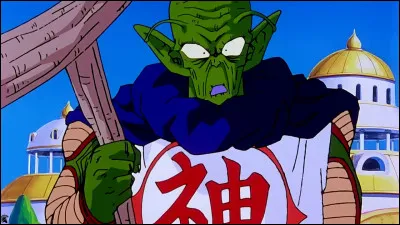 Chez les Nameks, tu préfères :