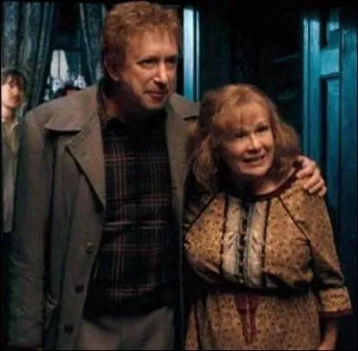 Qui jouent Arthur et Molly Weasley ?