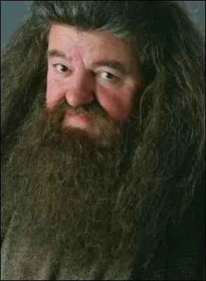 Qui joue Rubeus Hagrid ?