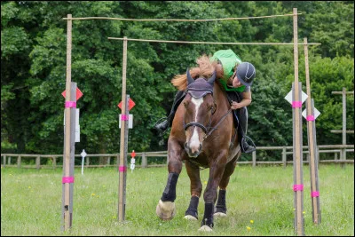 Que veut dire TREC ?
