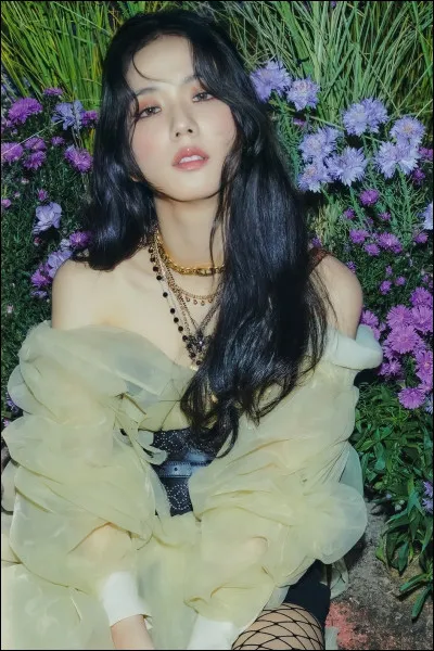 Quelle agence a démarché lors d'un concert YG pour avoir Jisoo ?