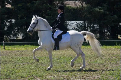 Quand tu as ton galop 2 , tu es alors un cavalier confirmé.