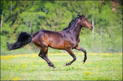 Quelles sont d'autres façons d'évoluer ?