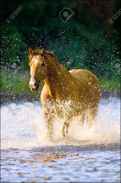 Connais-tu d'autres façons d'évoluer ?