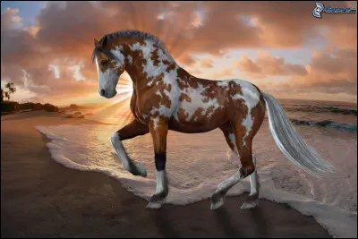 Le volume de l'estomac du cheval est de...