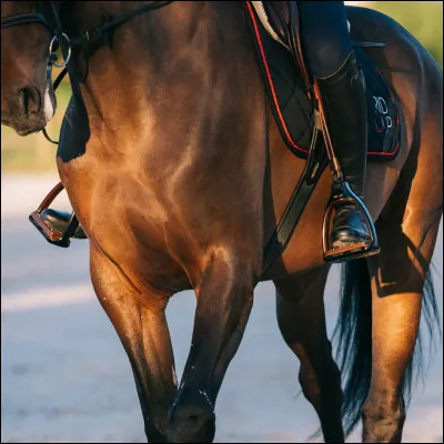 C'est quoi l'équilibre sur les étriers ?