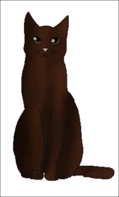 Quel chat a dit : "Tu était un apprenti du Clan du tonnerre, mais tu sera un guerrier du clan des étoiles."
