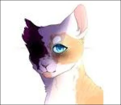 Quel chat a dit : "Tu es belle à mes yeux, tu seras toujours belle." ?