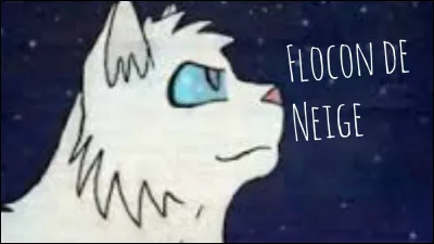 Aller une simple, il faut juste se situer dans le temps pour celle-ci. Quel chat a dit : "Aussi longtemps que flocon de neige m'aimait, je n'était plus Sans visage, mais Coeur blanc"