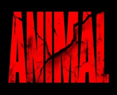 Quel animal est un ''cul-blanc'' ?