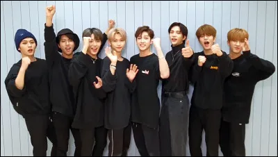 Qui est le leader de Stray Kids ?