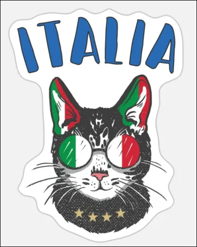 Comment se dit le mot "chat", en italien !