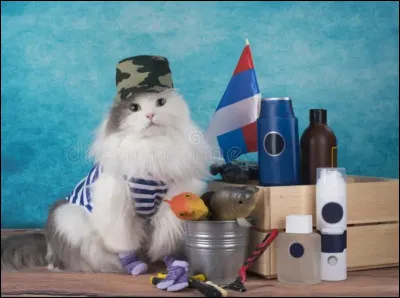 Comment dit-on "chat", en russe ?