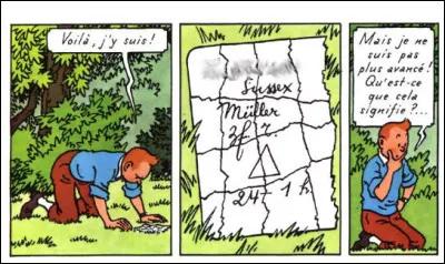 L'Île Noire > Dans cette ville, un avion s'est écrasé. Tintin en déchiffre ici le nom. Quel est-il ?