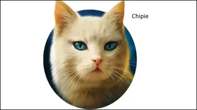 Deuxième mère : Chipie.
