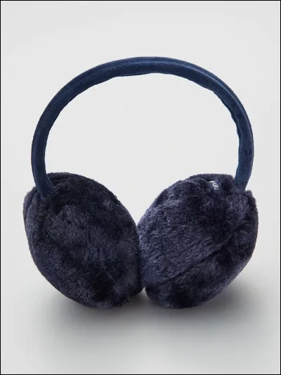 Quel est cet objet ?