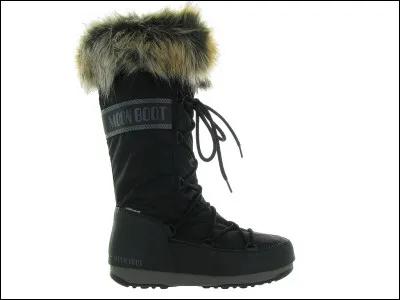 Quel est cet objet ?