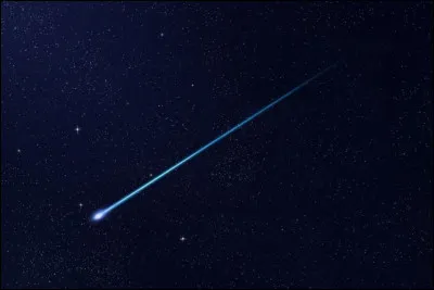 Qui préfères-tu être dans le clan à l'époque où Étoile Filante est un chaton ?