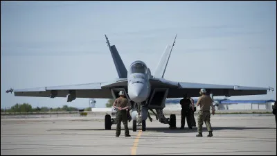 Quel type d'avion utilisent-ils ?