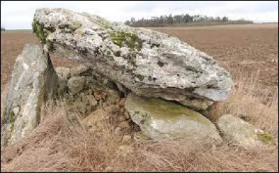Vous avez sur cette image le dolmen de la Pierre Godon, à Tillay-le-Péneux. Village de l'arrondissement de Châteaudun, il se situe dans le département ...