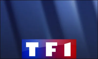 Que font les personnes sous le masque dans cette émission sur TF1 animée par Camille Combal ?