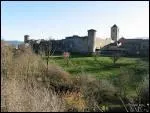 Au milieu du Larzac, c'est un vestige de l'histoire templire et hospitalire. L'enceinte presqu'intacte fut leve en 1439. De belles demeures aux encadrements de portes remarquables.