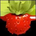 En informatique Fraise est un diteur de texte libre bas sur Smultron. A quelle plateforme est-il destin ?