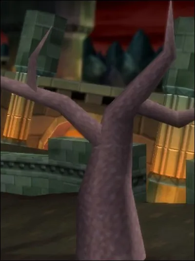 De quel circuit provient cette image ?