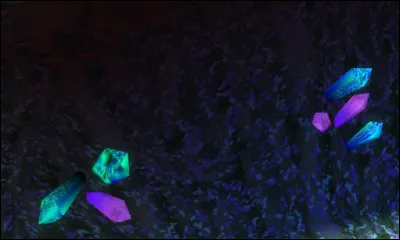 De quel circuit provient cette image ?