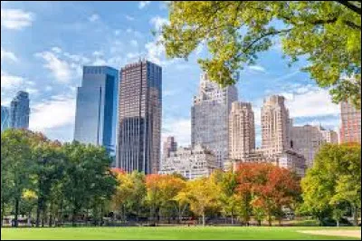 Combien darrondissements la ville de New York comporte-t-elle ?